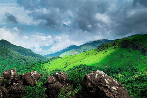 cocrog|coorg karnataka.